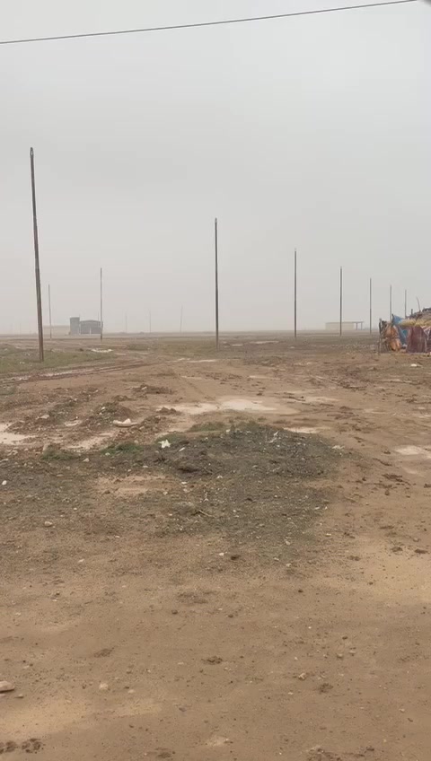 سلام عليكم عندي 18دونم البيع الحسينيه مال راشديه ذا متكد متشتري  الستفسار ***********
