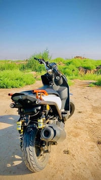 للبيع سكنس جبلي بوشه 58بلاد  دراجه بيها خلل بل كلجات شلعتها مو قويه  م...