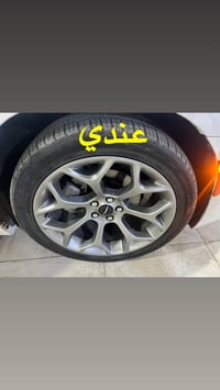 ويل عنكبوت • مراوس نيكل • كركوك