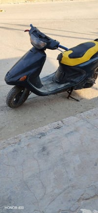 فراشه • نشطه • مجال