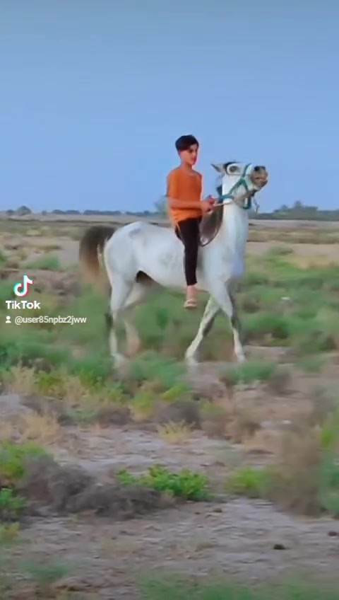 يالله اللهم صلي عله محمد فرس عربيه معروفه خياله فول طراد راس وشليل سالمه عله كل عذروب شرط الخياله  رتفاع 150كفاله مراوس ترهم المكان بابل سعر مليون وربع وبيه مجال
***********وتس
***********واتساب
يالله اللهم صلي عله محمد فرس عربيه معروفه خياله فول طراد راس وشليل سالمه عله كل عذروب شرط الخياله  رتفاع 150كفاله مراوس ترهم المكان بابل سعر مليون وربع وبيه مجال

يالله اللهم صلي عله محمد فرس عربيه معروفه خياله فول طراد راس وشليل سالمه عله كل عذروب شرط الخياله  رتفاع 150كفاله مراوس ترهم المكان بابل سعر مليون وربع وبيه مجال
