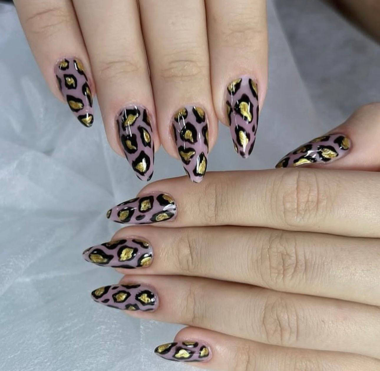 بنات شغلنا وعدنا عروض عنواني حي اور مقابيل سيكال ***********
