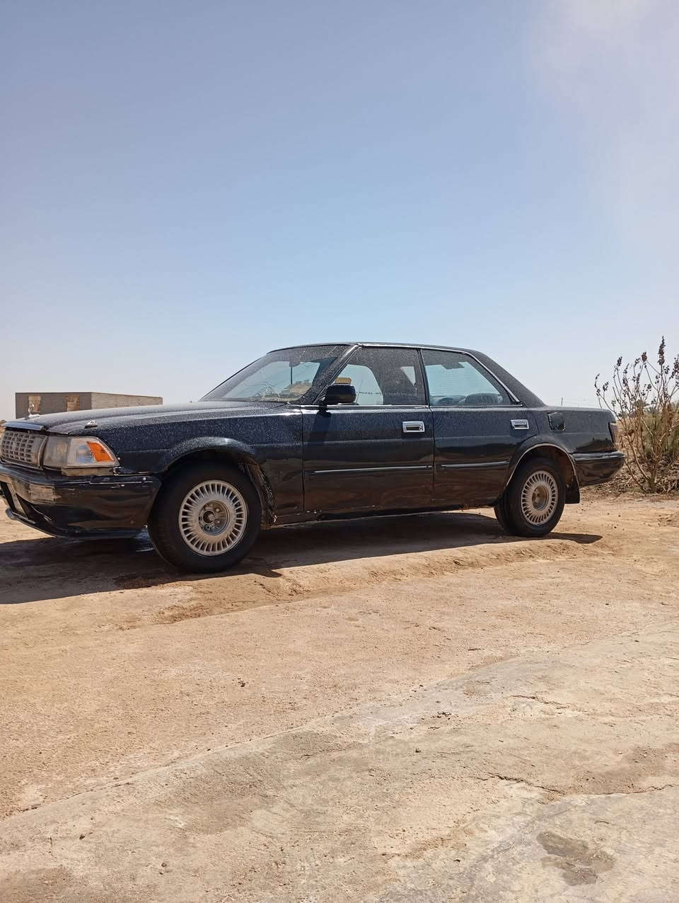 يالله هارتوب رقم نجف موديل 90 
 راعيهه حاضر للتحويل سنويه منتهيه ب 20 
كير ومكينه 2 ونص سسياره شايله روحه
حداديه وصط كهربائيات شغاله السعرر 24 
وبيه مجال بصيط كلش للشراي مكاني ناصريه الغراف اتصال *********** مراوورس ترهم حسب القناعه
