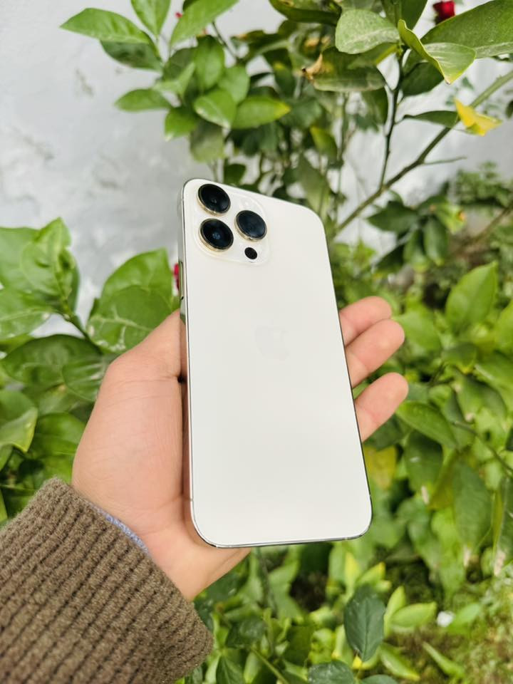 سلام عليكم ايفون ١٤ برو ماكس ذاكره ٢٥٦ شرق ارسط عربيAAA بطاريه ٨٨ بلاديه نضافه 100/100 شخط مابي جهاز مبدل بس شاشه اصليه او بصمه شغاله شاشه فول اداء يخبل اكرر جهاز بس شاشه اويد ابيع ما اراوس الخاص مفتوح او سعره مناسب ديالى


**إذا كنت صاحب هذا الإعلان وتريد حذفه لأي سبب، رجاءا أرسل رسالة إلى الدعم الفني**