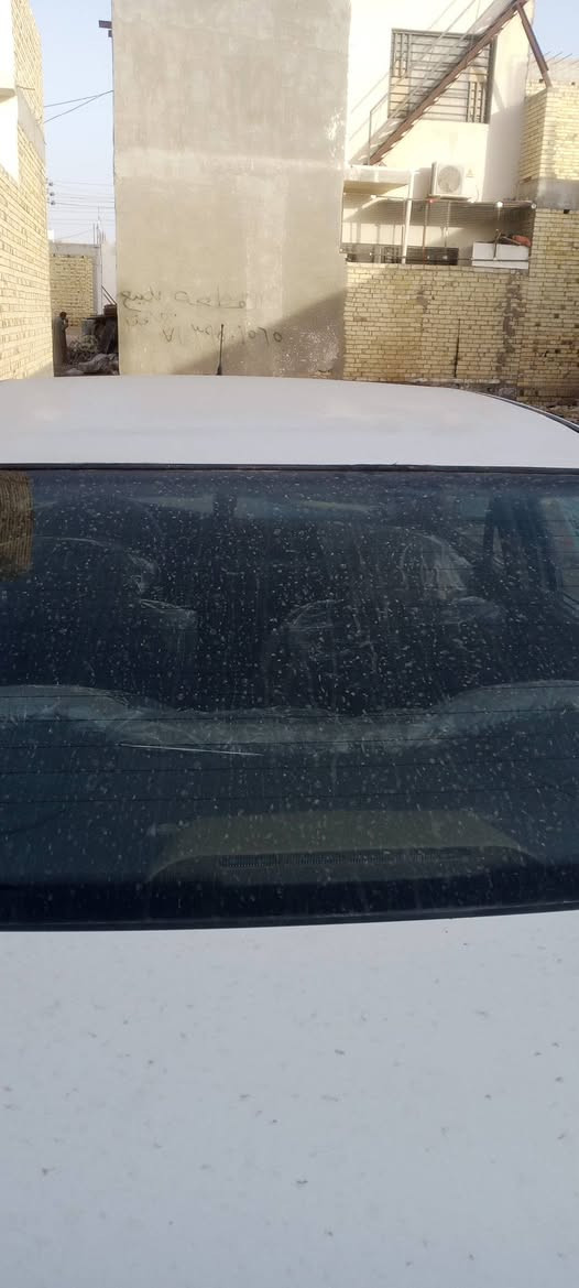 سمند موديل 10مكفوله من الضربه والصبغ والتبديل سنويه جديده رقم انكليزي ميسان الشراي  يتصل على الرقم ***********
