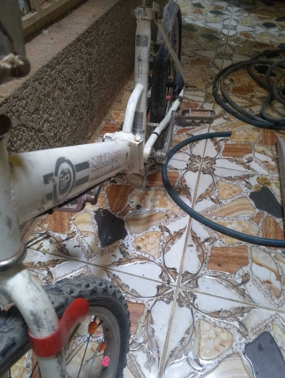 سلام عليكم  باسكل  ابو طبكة حجم 20 باسكل  بس يدة بريك نقص سعر 35 بي مجال  شراي خادم  مكاني بغداد البياع شرطة الخامسة  شراي راسني واتساب ***********

