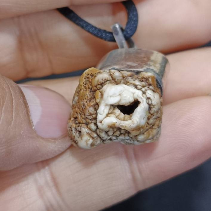 زوعه قديمه للبيع ***********
