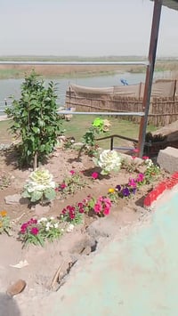 جناح خاص للعوائل  صاله العاب اطفال مجانا بس يمنه تاكل واطفالك يلعبون ب...