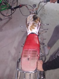 تايكر • موديل 21 • ما بي أوراق