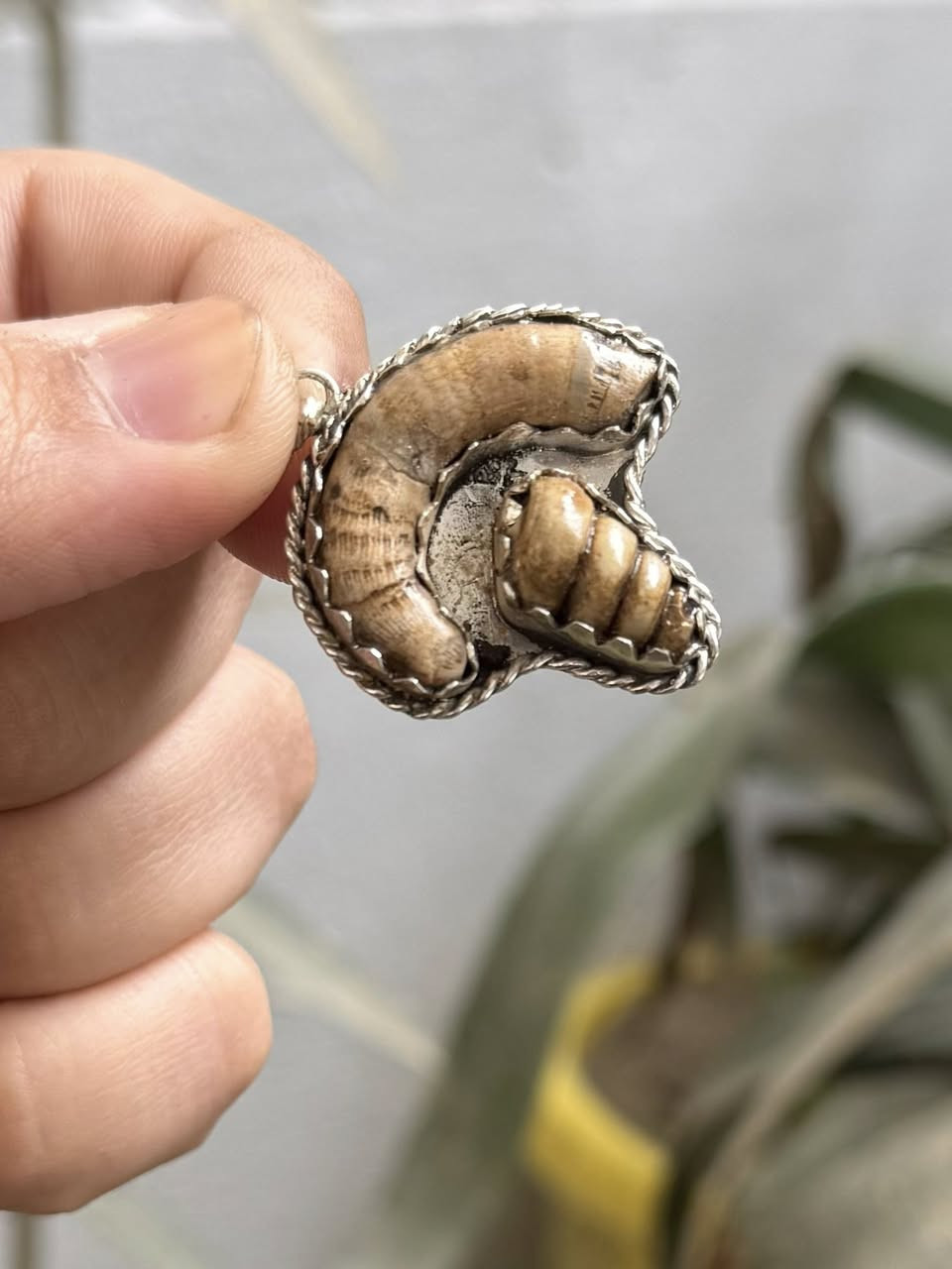 السلام عليكمً/ عرج سويحلي مع لوي 
فول تكوين رواحاني 
يوجد توصيل لجميعً المحافضات
***********واتس
