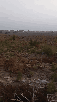 ارض زراعيه للبيع ست دوانم حاوي العباس قريبه ع المنطقه ماء وكهرباء للتصال ***********
