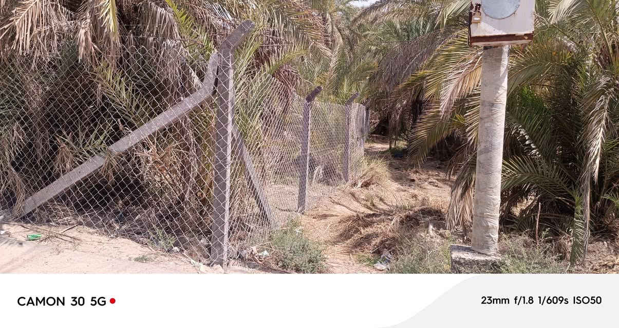 السلام عليكم تفاصيل البستان داخل الصور للاتصال ***********
