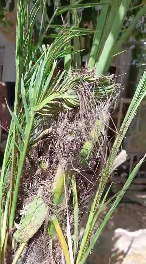 بريم ديالى 

‭٠٧٧٢ ٦٧٥ ٤٢١١‬
