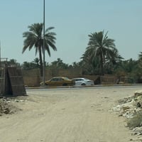 حلة بابل • ١٠٠م • طابو زراعي