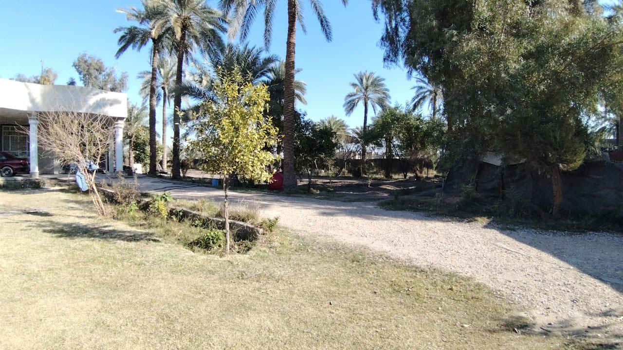 ارض زراعية للبيع سند ٢٥
مساحتها ٣دوانم ونص🌴🌴🌴🌴
تتكون الارض من بيتين 🏠🏠
و ايضاً تتوفر فيها جميع الخدمات السكنية …

#الموقع :بابل قضاء المحاويل قرية البعلوان شارع ابو طيارة قرب مدرسة العروبة ..

## للاستفسار اكثر او معرفة السعر يرجى الاتصال او مراسلتنا على الارقام التالية او زيارة مكتب عقارات أراضي المحاويل الكائن في قضاء المحاويل حي ١٧قرب مقهى الصياد القديم ""
*********** /*********** ابواسد
