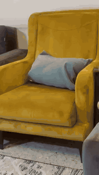 تخم للبيع نظيف جداً بسعر 325 الف 07739106971