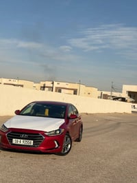 نص فل • حادثة أمريكا • ٢٠١٨