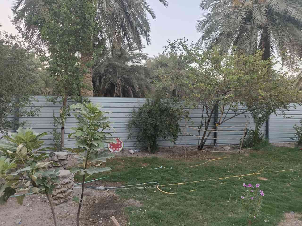 للبيع بيت مع حديقة – 
السلام عليكم ورحمة الله وبركاته.
بيت مع حديقة للبيع، بمساحة كلية 600 متر²، التفاصيل:
🔹 الحديقة: 300 متر²
🔹 مساحة البيت: 200 متر²
🔹 100 متر² خلف البيت بناء كونكريت مسلح.
مواصفات البيت:
طابوك معمل.
صحيات داخلية وخارجية.
استقبال چبير.
غرفتين كبار.
صالة.
مطبخ چبير.
📍 العنوان: علوة الفحل.
للاستفسار والتواصل عبر واتساب: 📞 ***********
