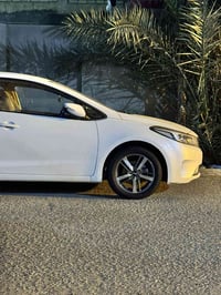 تخم ويلكب • مقاس 17 • اكسسوارات سيارات