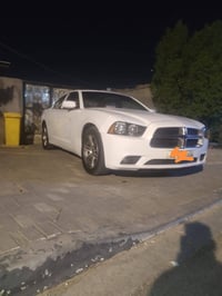 تشاجر • ٢٠١٣ • رقم اربيل