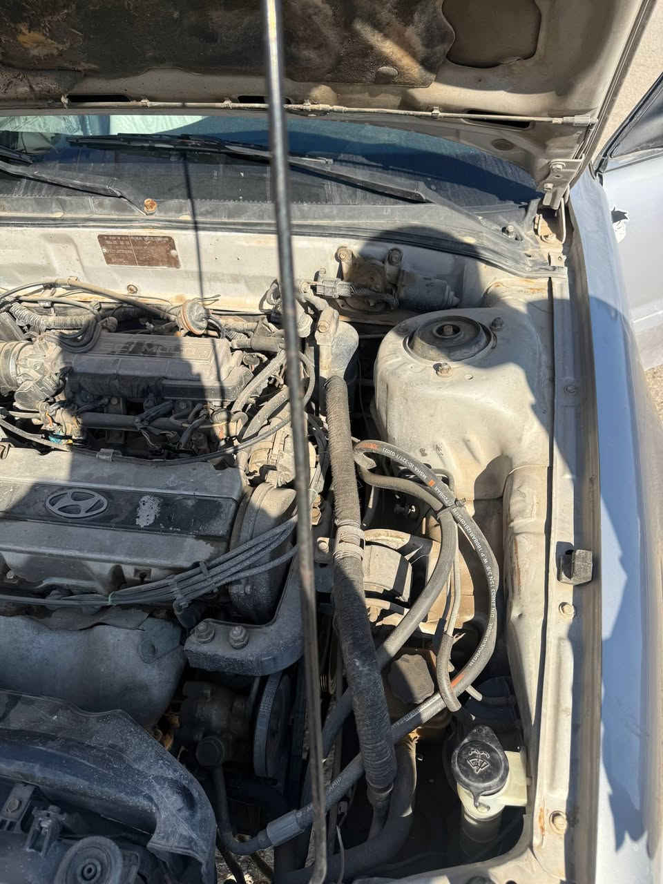 سوناتا تو بعدها شركه
سنتر لوك كهربائيات فول تبريد تدفئه كير اوتو محرك جديد
السياره برغي ما بيها نقص مال بيت والصور تحكم وبعد احلى من الصور بهواي + شاشه شغاله ومسجل وع ريمونت لايتات زنون 
جديده بمعنى الكلمه سنويه لل29 رقم انكليزي 
مكاني ديالى جلولاء 
السعر 52 
***********
