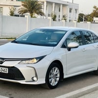 كورلا خليجي • ٢٠٢٤ • بدون صبغ