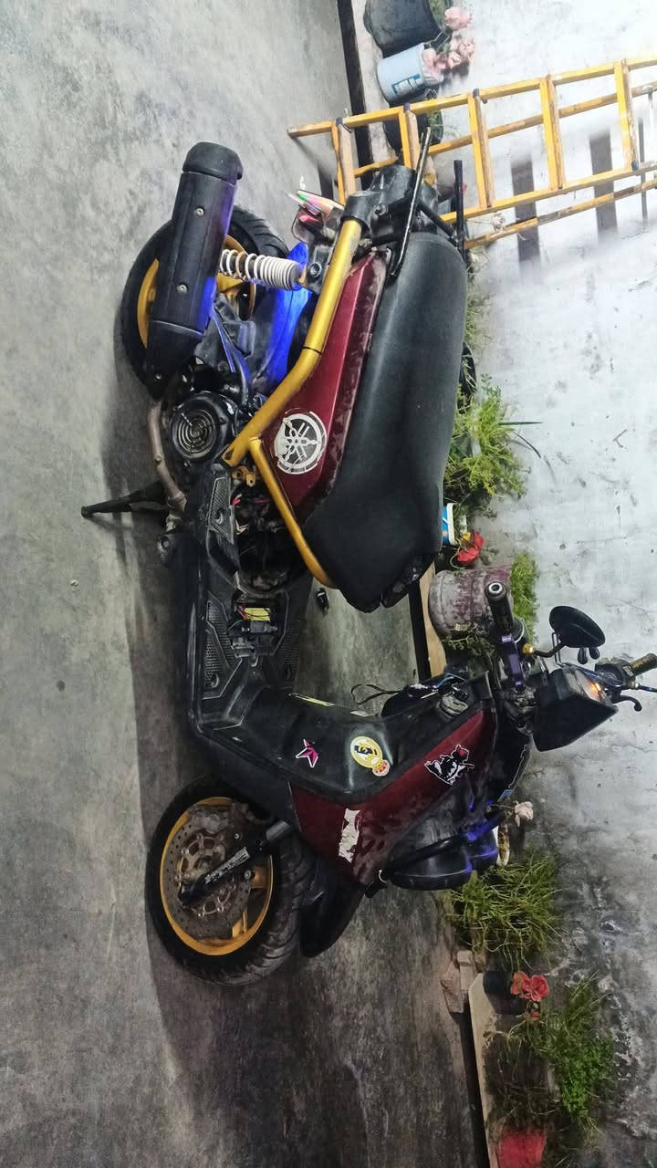 سكنس جبلي مسويلها ادامه كلشي بس نقصها دبلات أميمي اوراق مأكو بيع او امراوس


**إذا كنت صاحب هذا الإعلان وتريد حذفه لأي سبب، رجاءا أرسل رسالة إلى الدعم الفني**