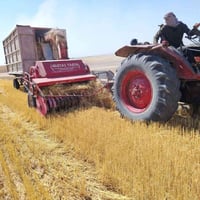 لبيع مكين بلاروس بدون معا جاروش  وعربان ٠٧٨٢٤٩٤٣٩١٤
