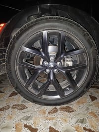 ويل جارجر جي تي • موديل 23 • الرمادي