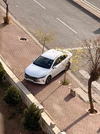 بي واي دي مدير • ٢٠٢٥ • ١١٠٠٠