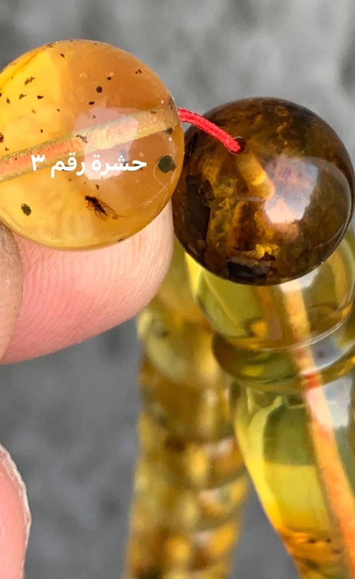 دولارين ونصف فقط
مسباح كهرب بلطيقي طبيعي يحوي حشرات منقرضة عمرها ملايين السنين الوزن ٦٥ غرام السعر ١٦٠ دولار مع التوصيل


**إذا كنت صاحب هذا الإعلان وتريد حذفه لأي سبب، رجاءا أرسل رسالة إلى الدعم الفني**