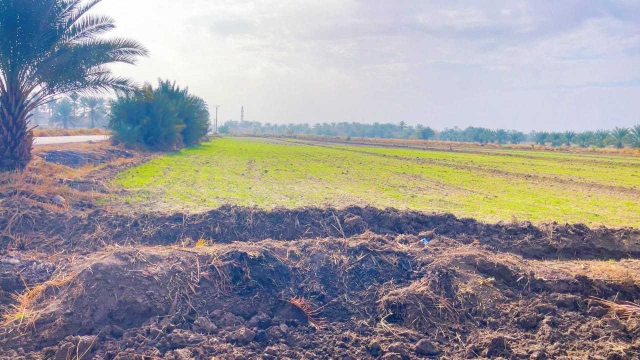 إقراء المنشور والتفاصيل وبعدين ابعث رسالة او اتصل وتدلل
قطعة أرض للبيع....
عشرين دونم
سعر الدونم ١٢ مليون 
عقد زراعي منتهي الصلاحية وماشين معاملة تجديد العقد
تشتري يسجل بأسمك انت كمل إجراءات التسجيل
الموقع الرمادي ناحية اليرموك منطقة زويغير الچري
الأرض مزرعة بالوقت الحالي ثمانية وزنة حنطة وزنه ونص شعير
مع كمية كبيرة من انواع النخيل
تحتوي على بئر ماء مع ماطرة بالاضافه إلى ماء الاروائي
تبليط بالوجه على طول الأرض بالاضافه طريق ثاني على الاروائي
تصلح ان تكون مزرعة او مكان ترفيهي
الأرض مكفولة من اي مشكلة عشائرية
________________________________
للإستفسار الاتصال على الأرقام التالية
*********** واتساب
*********** واتساب
او مراسلة الصفحة في اي وقت نعتذر عن التأخير عن الرد في بعض الأحيان
نستقبل جميع العروض العقارية في مدينة الرمادي
__________________________
(دلالية المكتب ٪٢)
