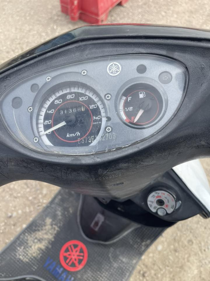 ماكس ثعلب للبيع  ***********
