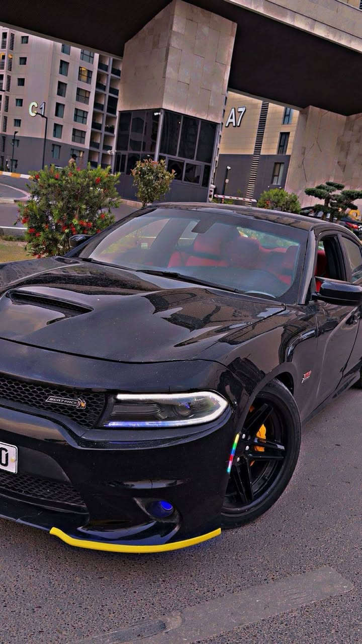 للبيع او مراوس دوج جارجر موديل ٢٠٢٢ سكات باك ٦٤٠٠فول مواصفات عده الفتحه ماشيه ٣٠ الف رقم بغداد الجديد بسمي هزه جديده كير ومحرك وصدر وتخم تاير كله جديد

داخل جلد ميموري كامره دواره شاشه كاربلي سوبر تراك باك درايف مود

السياره بيها قطع صبغ ابيع حزام شواصي مابيهاالحوض كفاله بيها بارد بل مقدمه مال قماره صبغ ٣ قطع وتبديل نفس اللون ٣ قطع

المناسب والبلاش بس يمي 😄مكان السياره بغداد حي الجهاد

السعر ١٦٤ وبيه مجال***********
