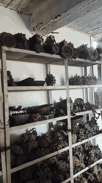 سلام عليكم للبيع بمات كاز بانواعها
وجهاز بمات عاطل للاستفسار ***********
