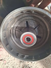 بطيخة خلفي • ٨١ • فلوجة