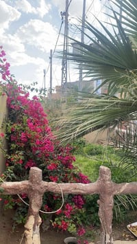 حي الزيتون • ٨٠م • ركن مربع