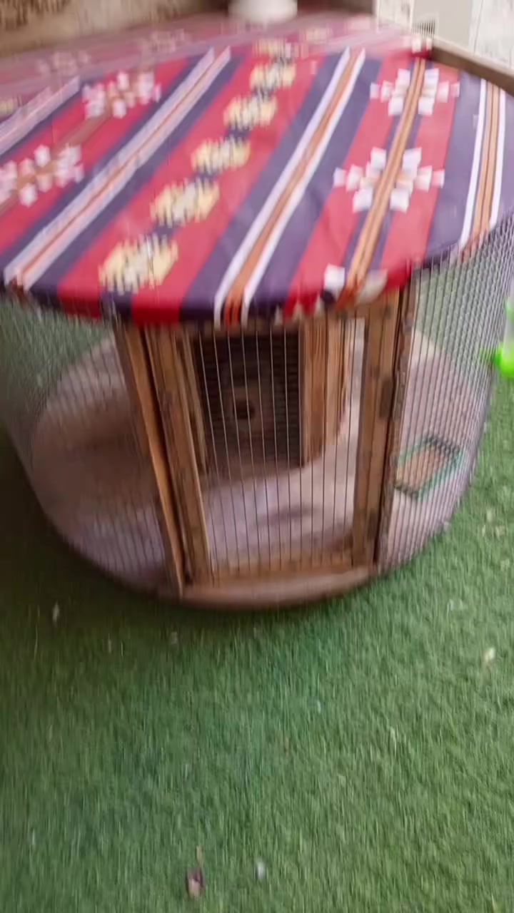 قفص طيور وطاولة طعام يصير بالحديقه بي جروخ قياس 85في85 الارتفاع 60 بي أرسي حديد كامل نجف ويوجد توصيل مجاني سعر 50 رقم ‏‪***********‬‏
