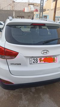 توسان ٢٠١٣ • نجف • صبغات