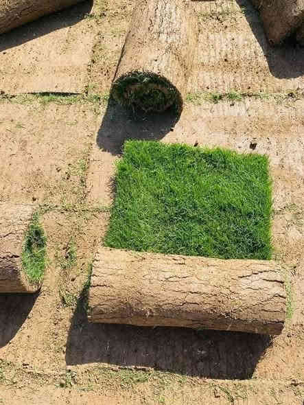 تخفضيات لفترة محدودة (بأسعار مناسبه وتنافسيه ) ✨❤️.                                       

انتاج خاص بمزارعنا.
حيث الجودة والسعر المناسب 

☘ثيل هندي إيطالي فرنسي طبيعي نوعية ممتازة🍀 
مناسب للاستخدام في ( المنازل🌳_ الحدائق🌳_ الملاعب🌳_ الدوائر🌿وتجهيز المشاتل) 

#سعر_تنافسي

✨ سعر المتر يختلف للكميات الكبيرة ✨

يوجد خدمة توصيل لجميع محافظات العراق 

#ملاحظة : التوصيل مجاني ❤️

(مستعدون لتجهيز الحدائق المنزليه و الملاعب الرياضيه و المنتزهات و الدوائر الحكومية بكادر مختص مميز يجيك لباب بيتك #بأسعار #تنافسيه )
🍁لمعرفة سعر المتر المربع التعليق ب "تم" سوف تصلك رساله 
🍁للاتصال او الاستفسار متوفر مفتوح طوال اليوم
***********
***********
