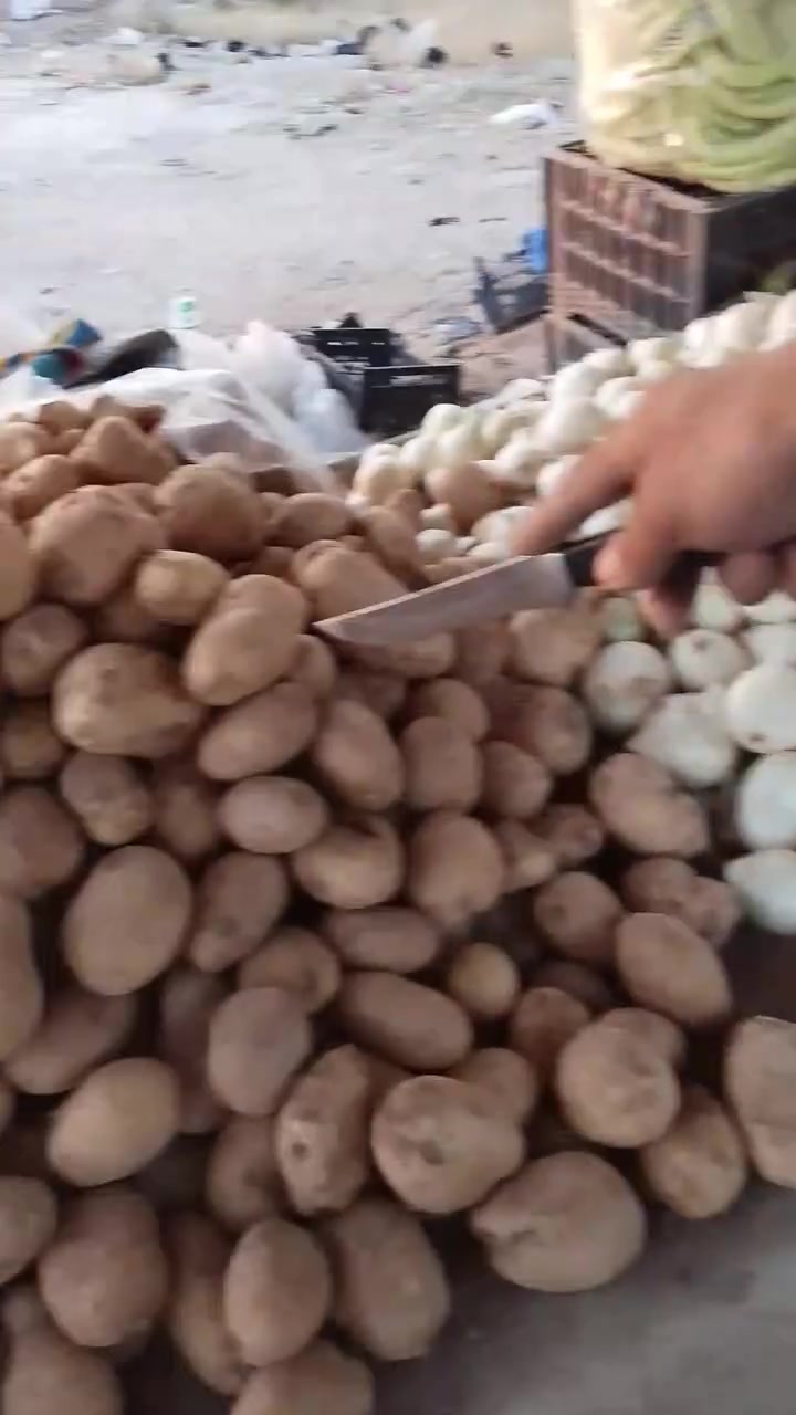 اسعار المخضر بلاش بلاش علوت عمر العوسج تقاطع شكرا. كلشي بخمسميه  بس الباميه الفين   لحك


**إذا كنت صاحب هذا الإعلان وتريد حذفه لأي سبب، رجاءا أرسل رسالة إلى الدعم الفني**