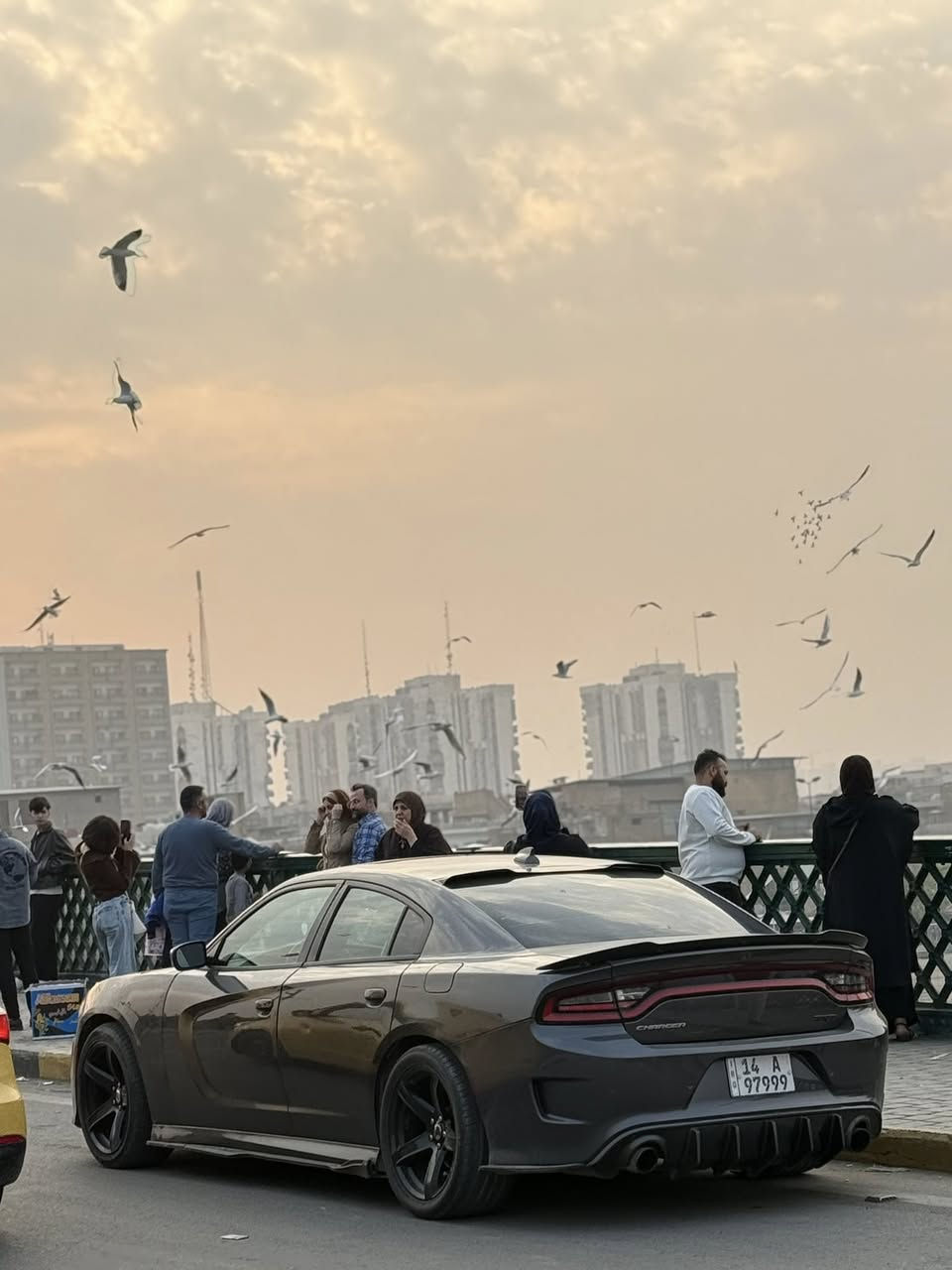 السلام عليكم  تشارجرRT للبيع مديل 2016 وارد كندي  المحرك (5700) السيارة نضيفة وحلوة ومواصفاتها فول للاخير من فتحة سقف وتحكمات ستيرن و كشنات كهربائية وبصمة تشغيل عن بعد بل اضافة السيارة رقمها مميز وتحويل مباشر باسمي حصرا 
بلنسبة لحادثها بلعراق دعامية امامية وداخله تقرير غرق للدوسة بس بل اسم غرق السيارة جاهزة وكاملة من كلشي الحدادية جديدة لايتات زنون وسنويتها جديدة والسيارة استخدام شخصي مامتعوبة 
السعر 193
رقم الهاتف 
***********
