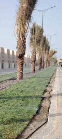 تنسيق حدائق • شبكات ري • كربلاء