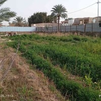 كربلاء اطويريج • ١١٤٣م • طابو زراعي سند ٢٥