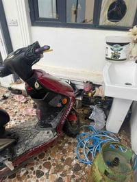 سكنس فحل • مزود • معلكه