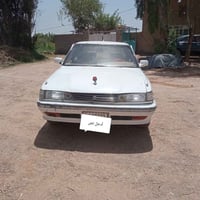مارك م • ١٩٩١ • رقم نجف