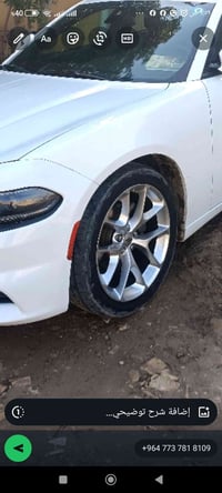 ٢٠ قطعة • صبغه سوداء • واسط العزيزيه