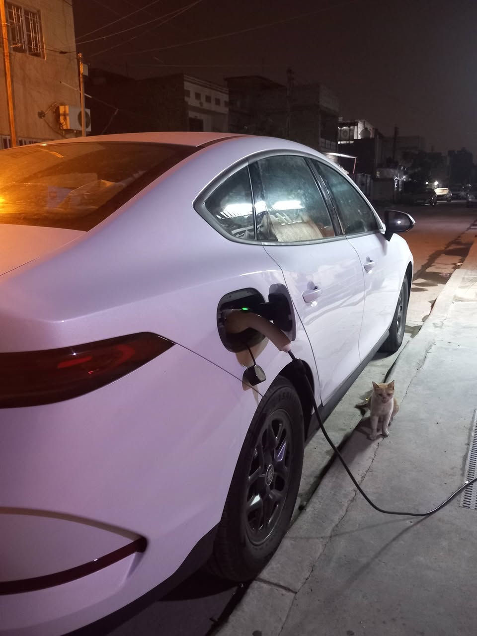 السلام عليكم
BYD جن بلاس 
مديل 2025 ماشيه3950 اخت الزيرو
كاعيات حوض بيجي رقم السياره بغداد
والرقم حلو 
السعر 18750 وبيها مجال 
مكان السياره بغداد
للتواصل والاستفسار على الرقم
***********
