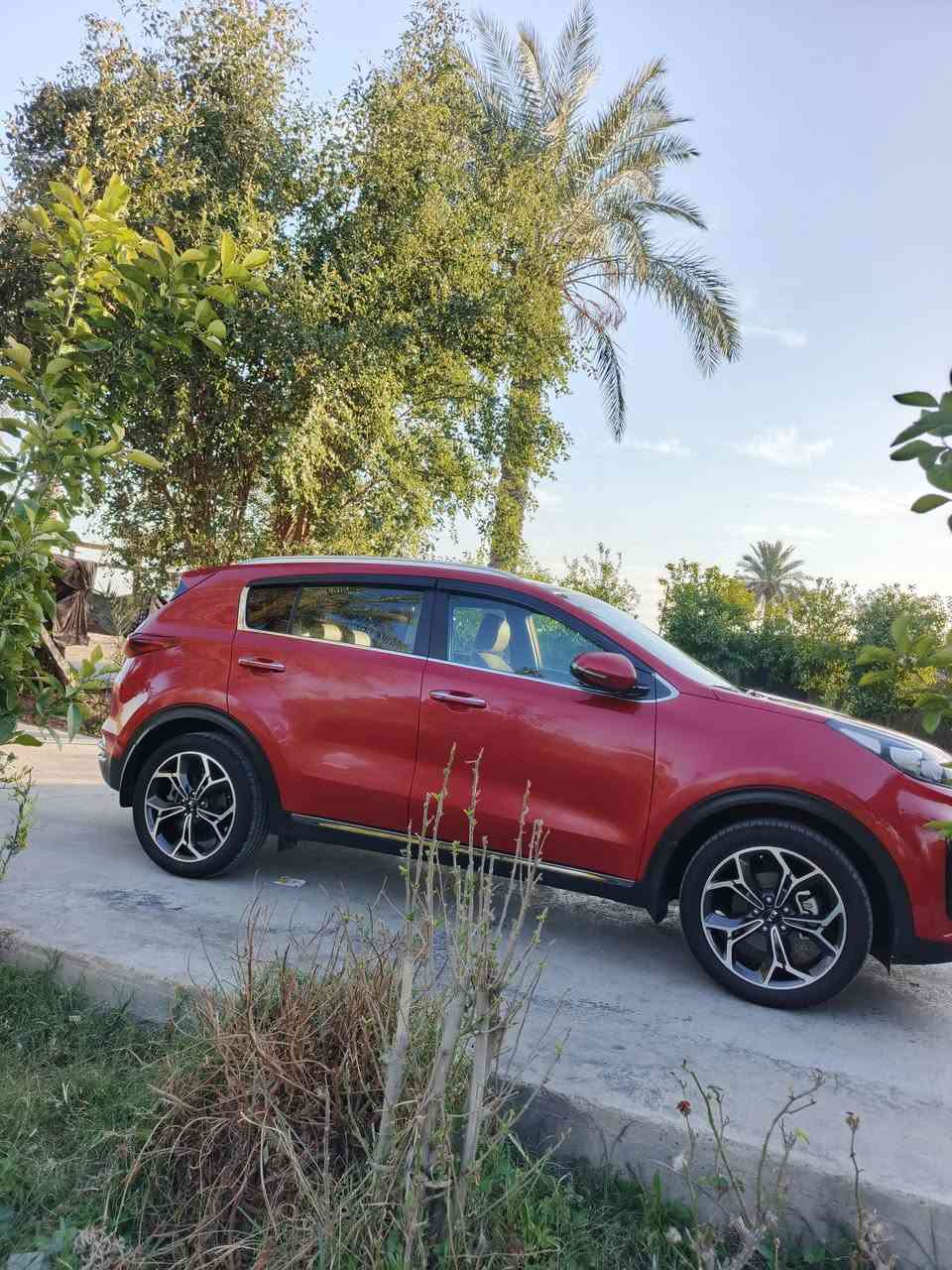 سبورتج  GT LINE 2020 خليجي 
فول الفول مواصفات لGT LINE معروفه
عداد المسافه 77الف كيلو متر 
رقم بغداد باسمي
الون مميز
السياره حيل جديده بمعنى الكلمه
مكفوله كفاله عام من الصبغ ولبارد
السعر المطلوب 219وبيها مجال بسيط
للاستفسار ***********
