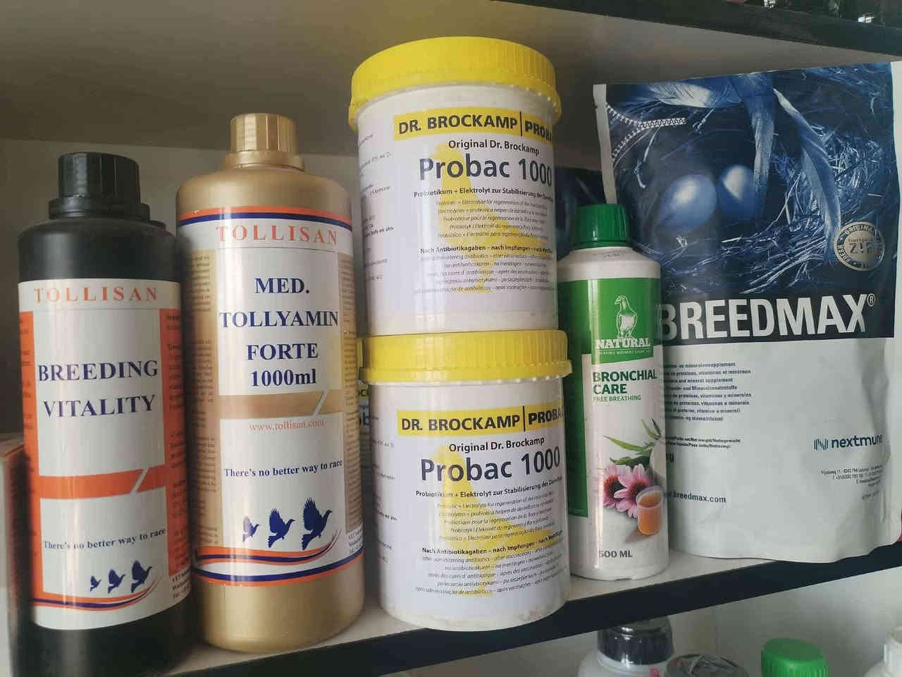 عيادة الرحمه البيطريه
توفر لكم كافة العلاجات البيطريه
المختصة بالحمام والدجاج وطيور الزينه
كذلك نوفر مستلزمات واعلاف الحمام وطيور الزينه
العنوان بابل قضاء الهاشميه حي العسكري مقابل عالم السيراميك
للاستفسار الاتصال على ***********
يوجد توصيل داخل وخارج الهاشميه
@إشارة
